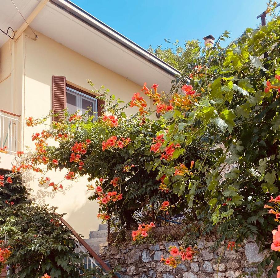 Apartamento Ortansia Dimitsana Exterior foto