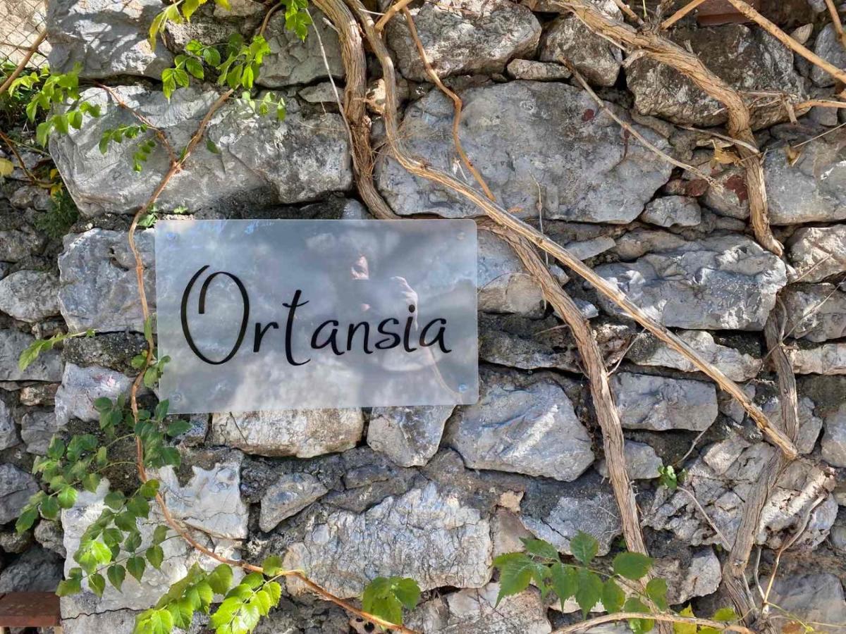 Apartamento Ortansia Dimitsana Exterior foto