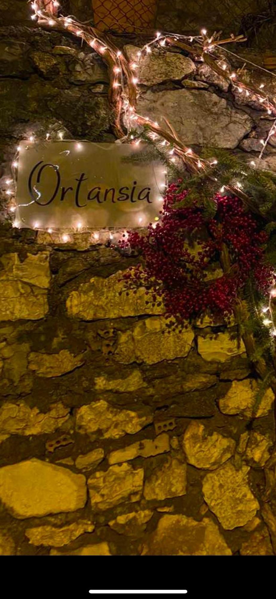Apartamento Ortansia Dimitsana Exterior foto